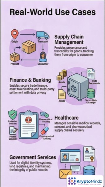 Real‑World Use Cases: Healthcare and Government - Kryptomindz Blog